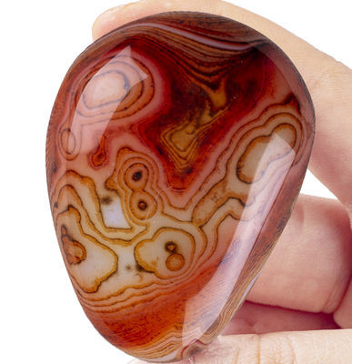 Pietra di palma naturale lucidata Carnelia Carnelia Gemmstone tascabile Carnelia Pietra di preoccupazione per alleviare lo stress Decorazione domestica