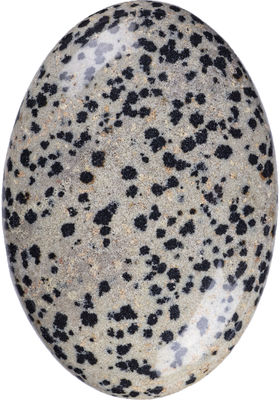 Pietra di palma dalmata naturale lucidata di giaspo pietra ovale di cristallo dalmata pietra energetica per la decorazione degli edifici