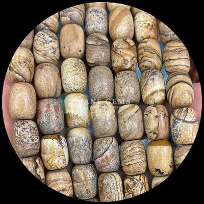 Gems Bead Dalmata Jasper Cristallo naturale Gemstone Barrel Forma di perline sciolte Stringi per la produzione di gioielli